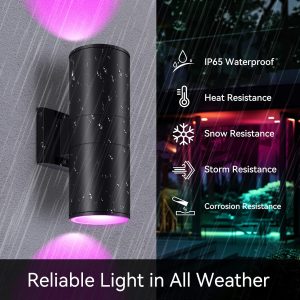 MZLITI Outdoor Wall Lights, State-of-the-art Smart Exterior Lighting Fixture Aluminum with Remote Control, Color Changing Waterproof RGBW Outdoor Wall Sconces, Compatible with Alexa & Google Assistant